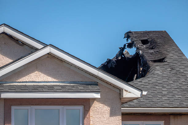 Top rated local Emergency Fire Cleanup specialists in Forest Lake, MN